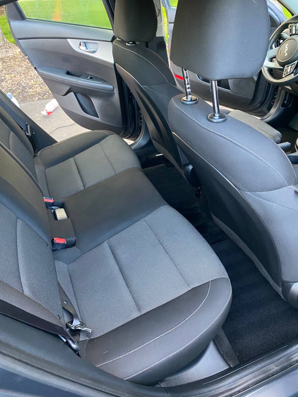 Pet hair removal - After